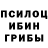 Галлюциногенные грибы Psilocybe Tel.Lingson