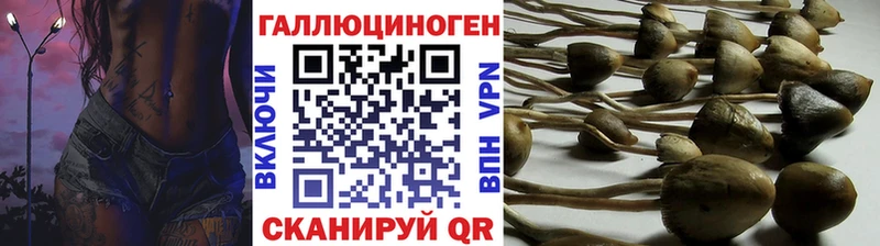 blacksprut рабочий сайт  Харовск  Псилоцибиновые грибы Cubensis 